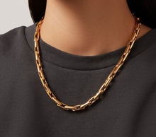 Load image into Gallery viewer, Alber Necklace Gold