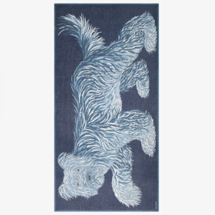 Inoui Editions Scarf 100 Freddy Navy