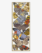 Load image into Gallery viewer, Inoui Editions Scarf 70 Papillons White
