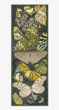 Load image into Gallery viewer, Inoui Editions Scarf 70 Papillons Emerald
