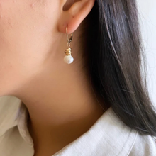 Charger l'image dans la galerie, Orange Avocado Hera Gold Wrapped Pearl Earrings
